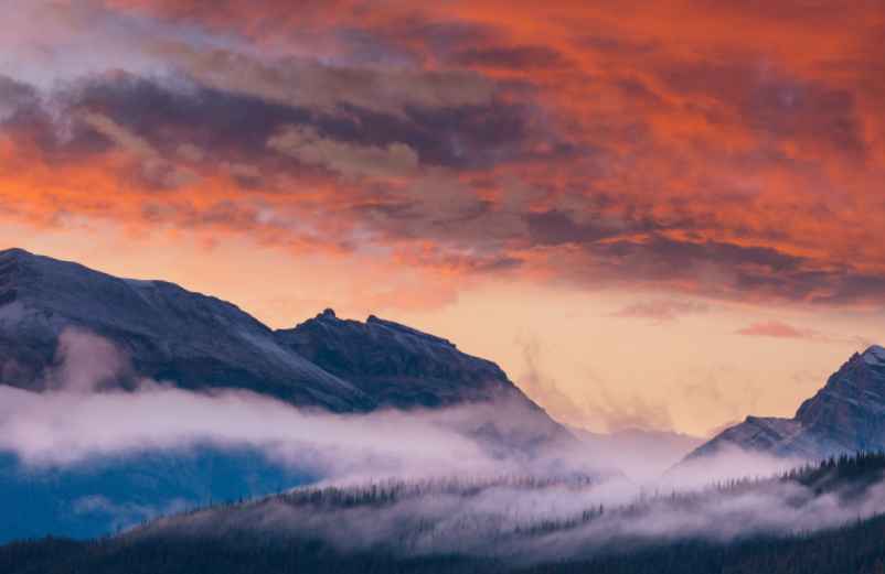 Nom commence par la lettre C Nom commence par la lettre C