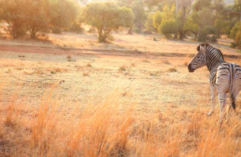 Pays commençant par A : aventure dans des destinations fascinantes