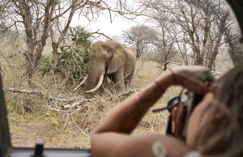 Pays commençant par L : les lieux à visiter absolument